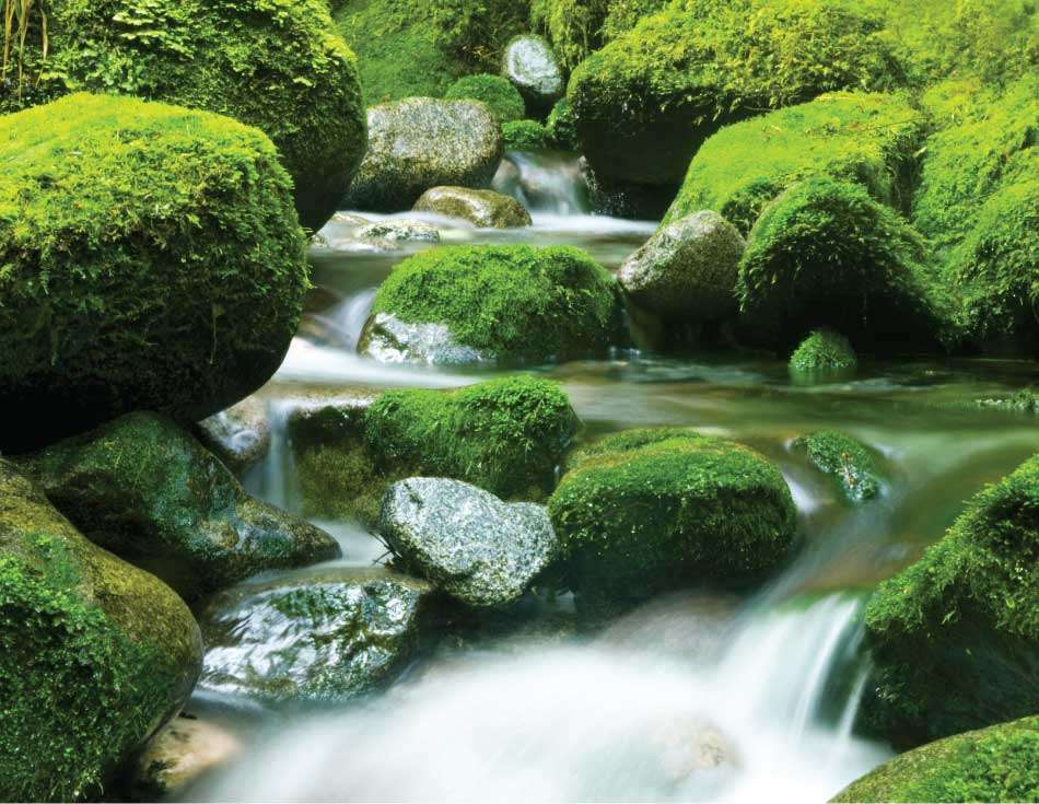 river and big stones