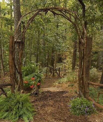 wooded path