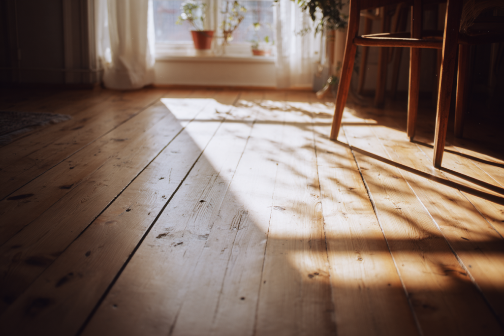 Natural light streaming into a quiet stock photo of a therapy room, creating a grounded and welcoming atmosphere